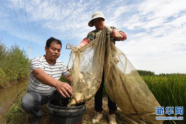 2O24年澳门正版免费大全|精选解释解析落实